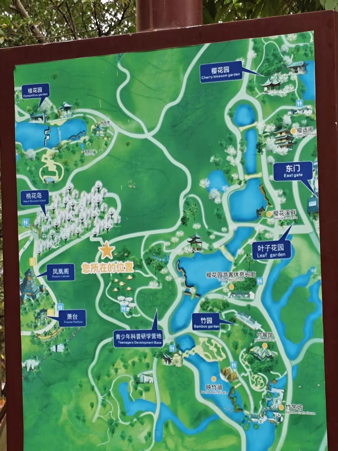 地图 地图