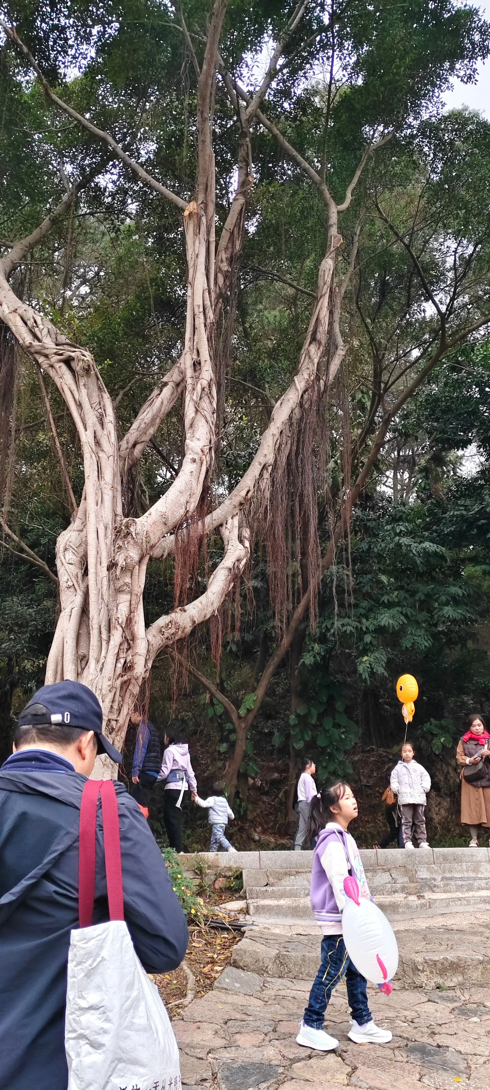 奶龙 奶龙
